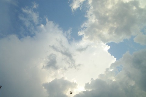 fullsize