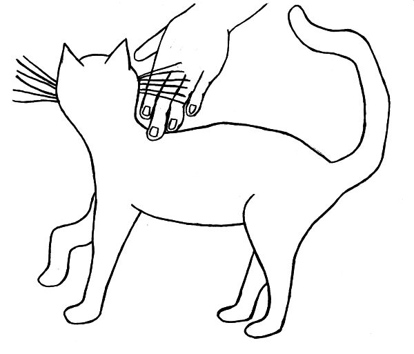 fullsize