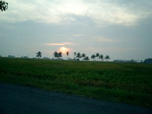 fullsize