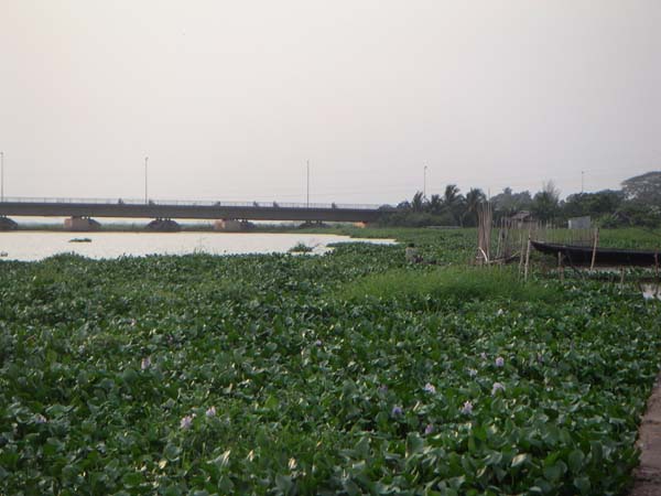 fullsize