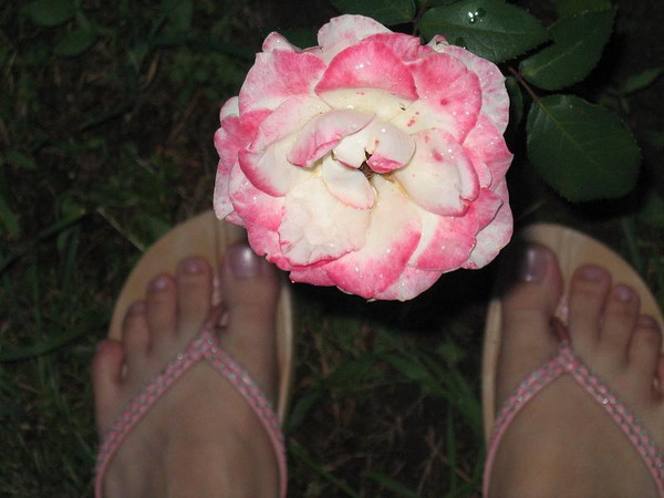 fullsize
