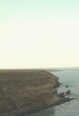 fullsize