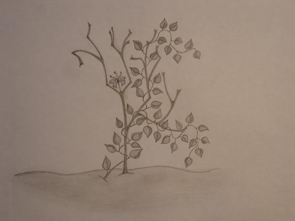 fullsize