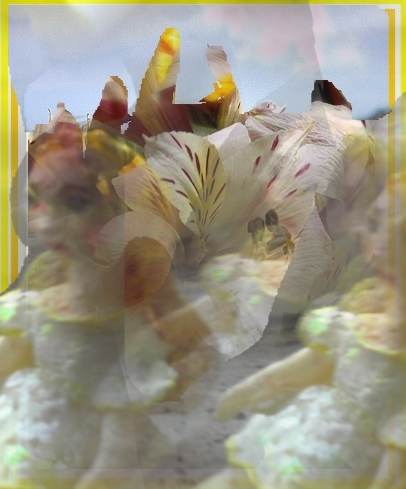 fullsize