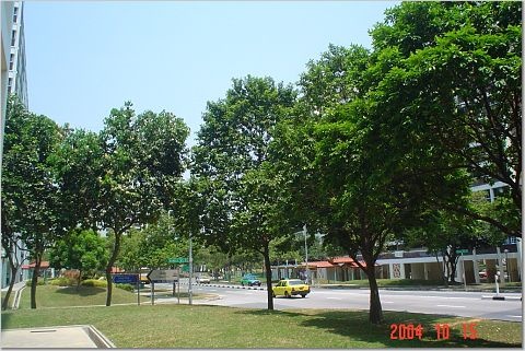 fullsize
