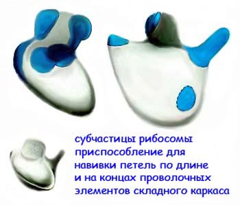 fullsize