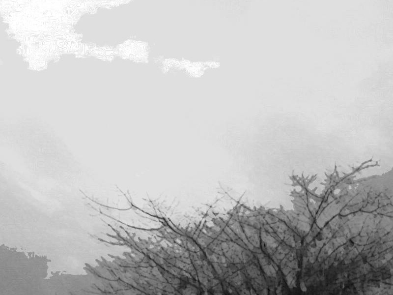 fullsize