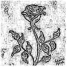 fullsize