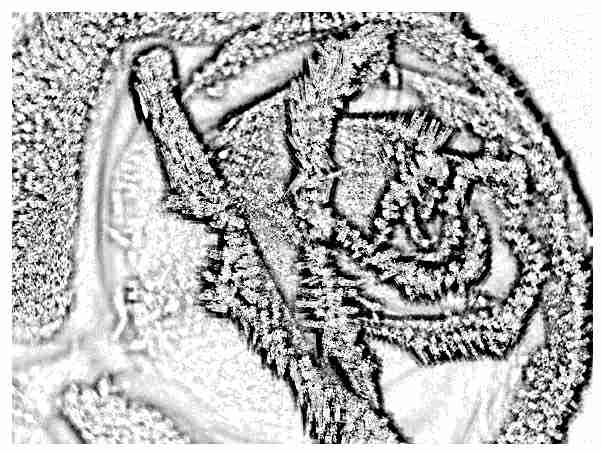 fullsize