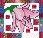 fullsize