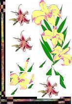 fullsize