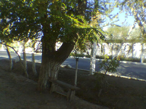 fullsize
