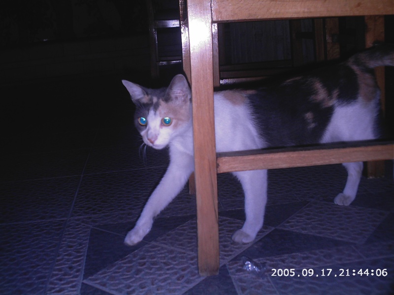 fullsize