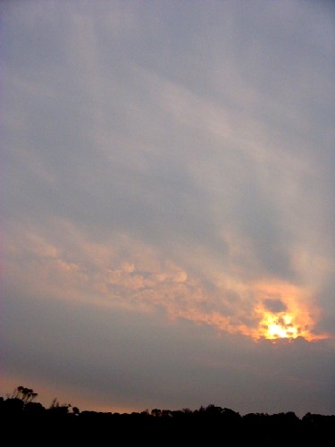 fullsize