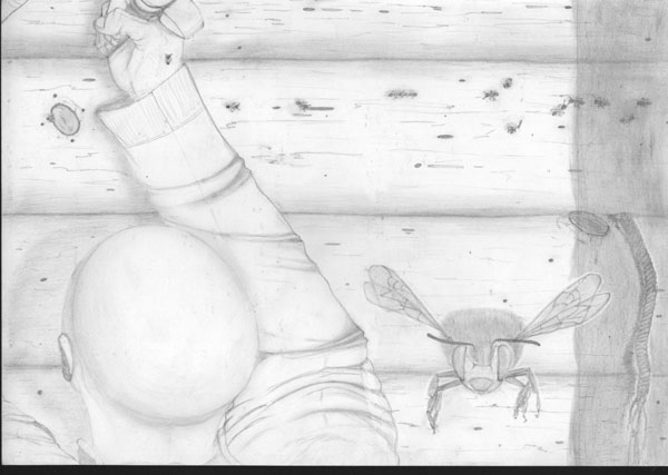 fullsize