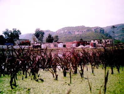 fullsize