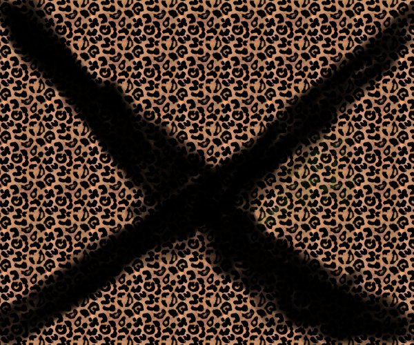 fullsize