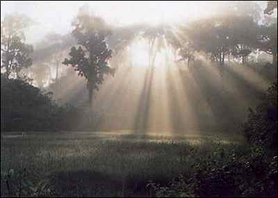 fullsize