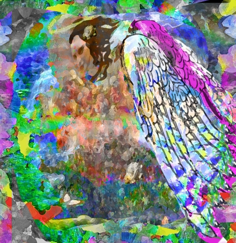fullsize
