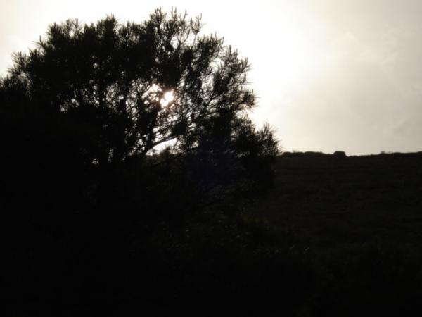 fullsize