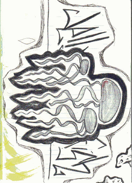 fullsize