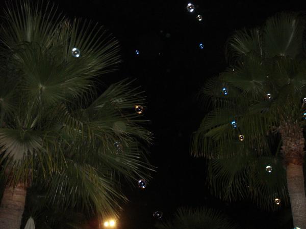 fullsize