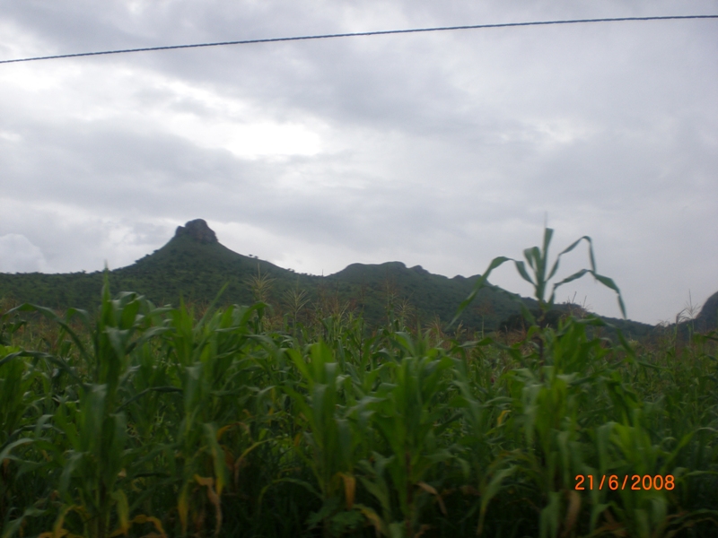 fullsize