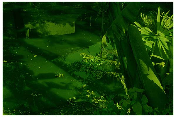 fullsize