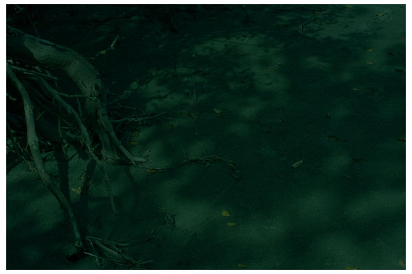 fullsize