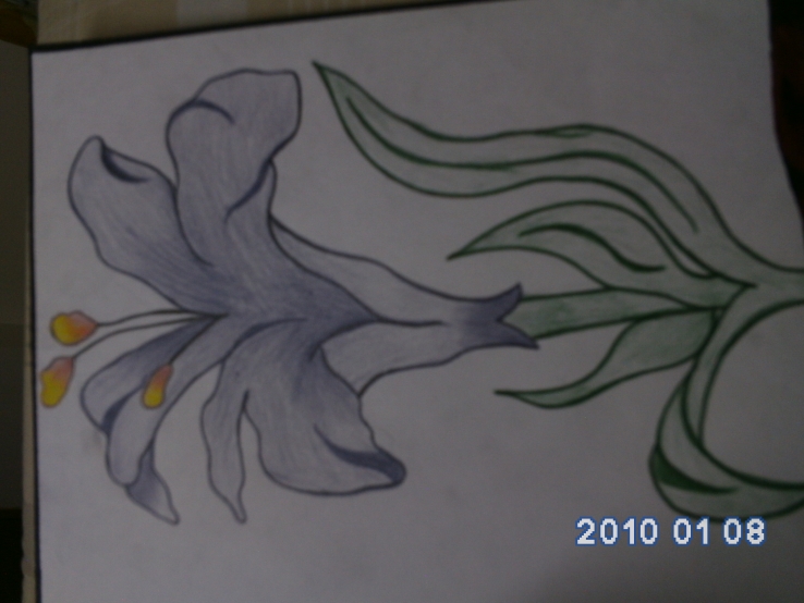 fullsize