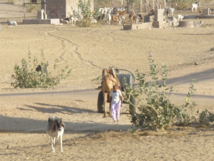 Villages In Rajasthan