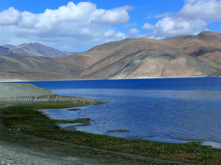 PANG GONG LAKE -- Leh Ladakh