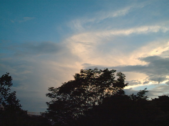 fullsize