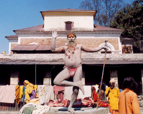 Shivratri Sadhus