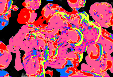 fullsize