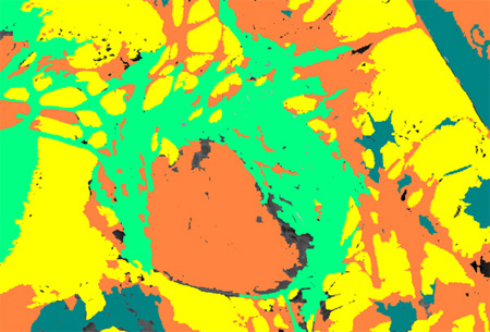 fullsize