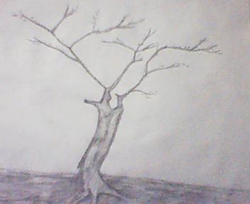 fullsize